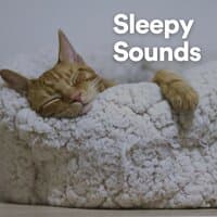 Sleepy Sounds