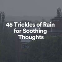 45 Trickles of Rain for Soothing Thoughts