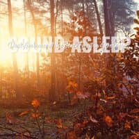 Sound Asleep: Dusk Ambience at the Black Forest in Germany 2