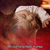 55 Calming Rest Auras