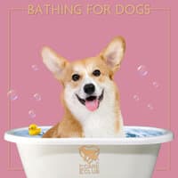 Bathing for Dogs