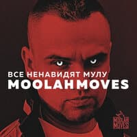 Все ненавидят Мулу