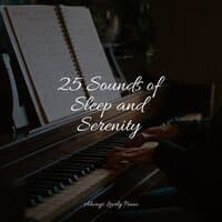 25 Sounds of Sleep and Serenity