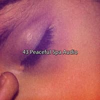 43 Peaceful Spa Audio