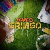 Gringo