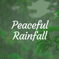 Peaceful Rainfall