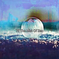 75 The Mist Of Zen