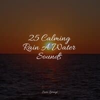 25 Calming Rain A Water Sounds