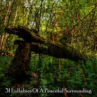 31 Lullabies Of A Peaceful Surrounding