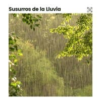 Susurros de la Lluvia