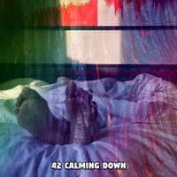 42 Calming Down