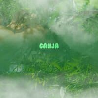 Ganja