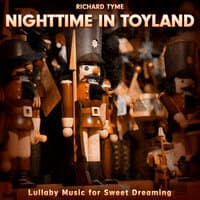 Nighttime in Toyland