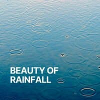 Beauty of Rainfall