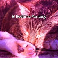 36 Bedtime Fantasy