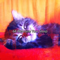 68 Welcome Your Sleep