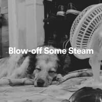 Blow-Off Some Steam