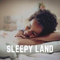 Sleepy Land