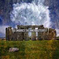 66 Embrace The Inner Butterfly