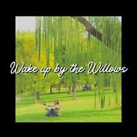 Wake up by the Willows