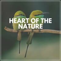 Heart of the Nature