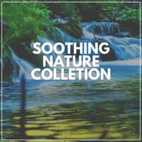 Soothing Nature Collection