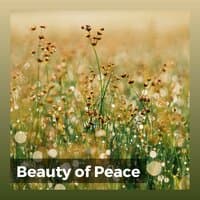 Beauty of Peace