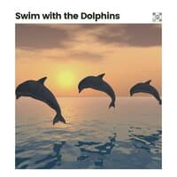 Swim with the Dolphins