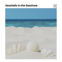 Seashells in the Seashore