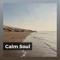 Calm Soul