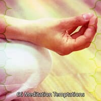 66 Meditation Temptations