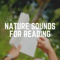 Nature Sounds for Reading