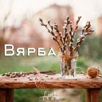 Вярба