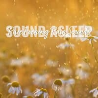 Sound Asleep: Pure Evening Rain Sounds