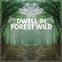 Dwell in Forest Wild