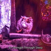 37 Strength Through Sleep