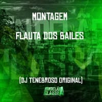 Montagem Flauta dos Bailes