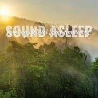 Sound Asleep: Relaxing Natural Scene Ambience 2