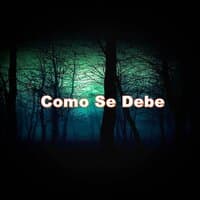 Como Se Debe