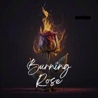 Burning Rose