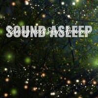 Sound Asleep: Relaxing Insect Swarm Ambience