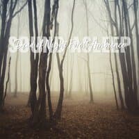 Sound Asleep: Dead of Night Forest Ambience