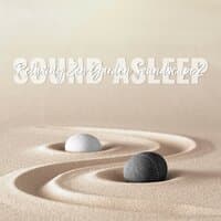 Sound Asleep: Relaxing Zen Garden Soundscape 2