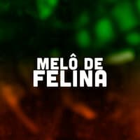 Melô de Felina