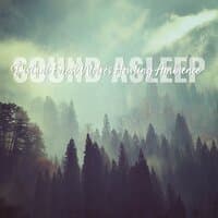 Sound Asleep: Distant Forest Wolves Howling Ambience