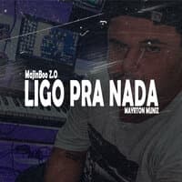 Ligo pra Nada