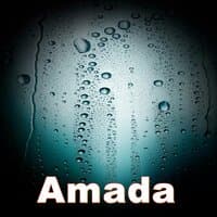 Amada