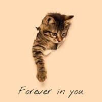 Forever in You