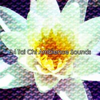 34 Tai Chi Ambience Sounds