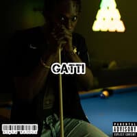 Gatti